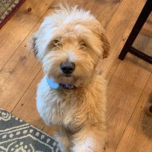 Meet your Posher, Pamela